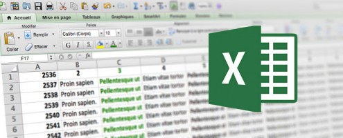 Formation Microsoft Excel	niveau 1
