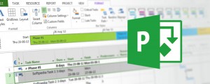 Microsoft MS Project Formation