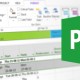 Microsoft MS Project Formation