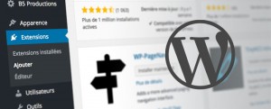 Plugins WordPress Formation