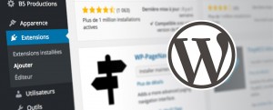 Formation Plugins WordPress