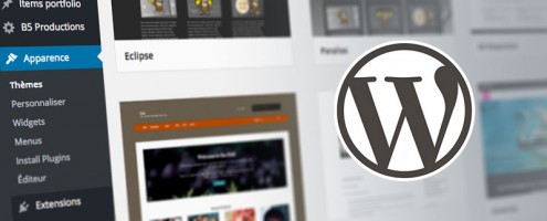 Formation Choisir et Personnaliser votre theme Wordpress