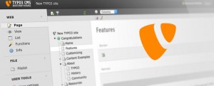 Typo3niveau1